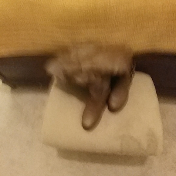 Boots - Picture 2 of 2